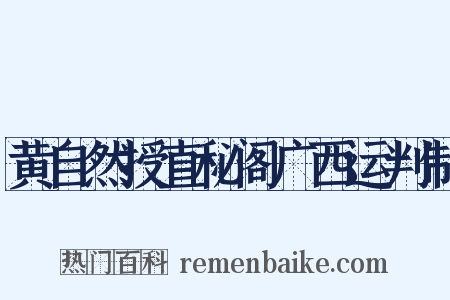 黄自然授直秘阁广西运判制是什么意思的图片
